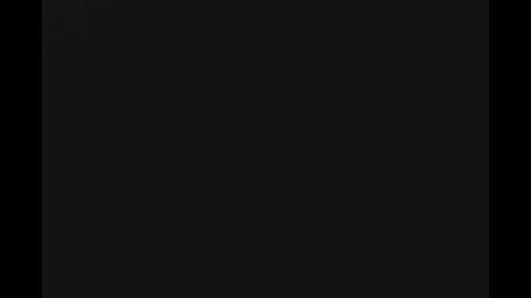 6081